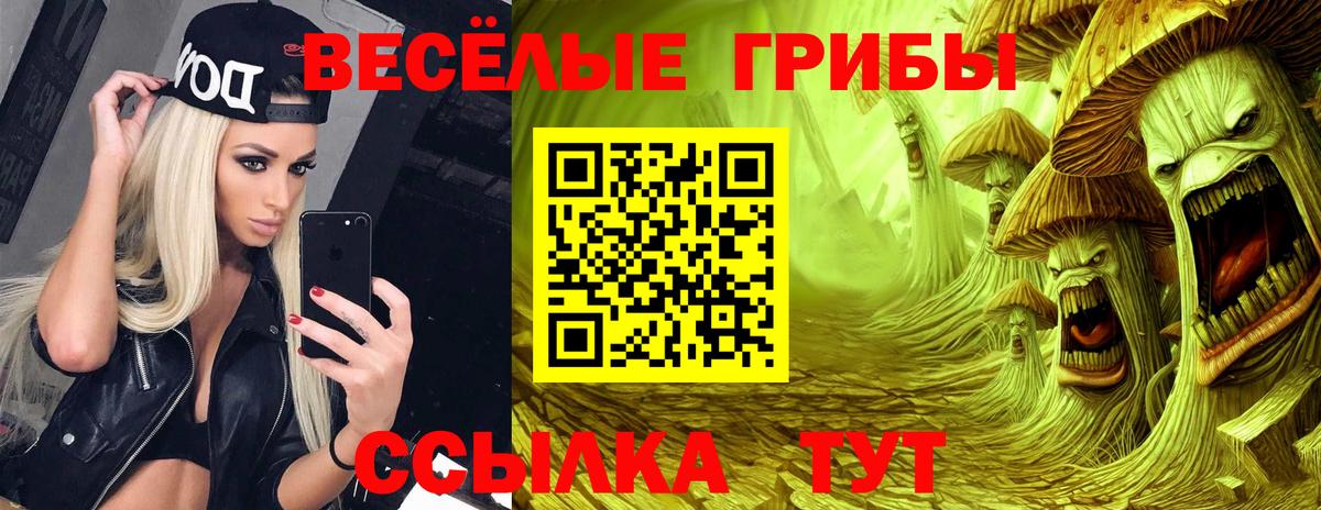 Галлюциногенные грибы ЛСД  Вход с VPN  Псилоцибиновые грибы Magic Shrooms  Владимир 