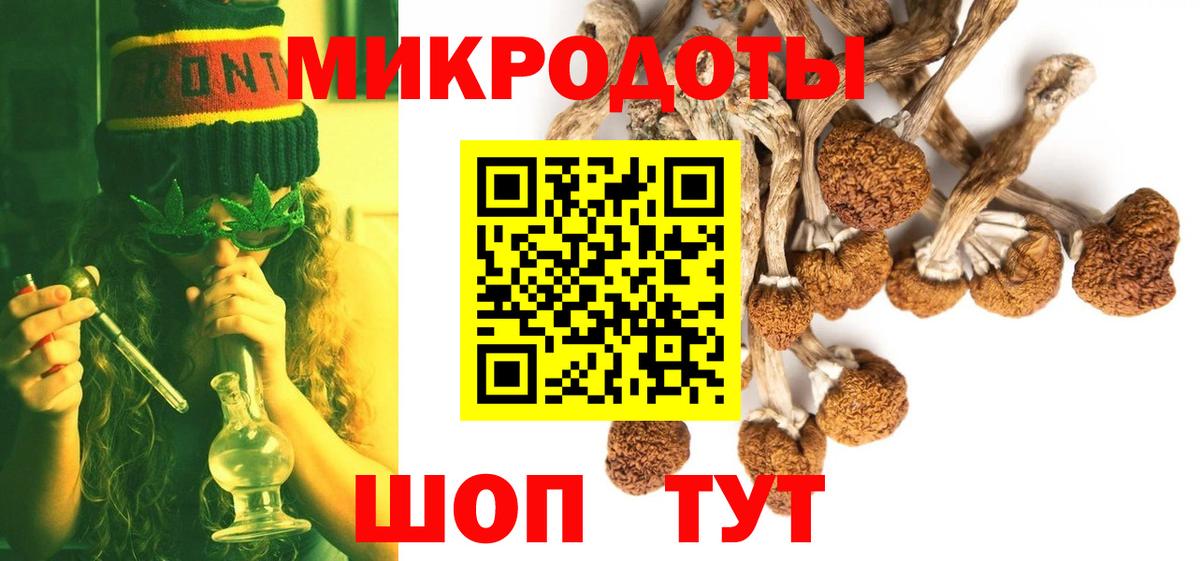 Псилоцибиновые грибы Psilocybine cubensis Владимир